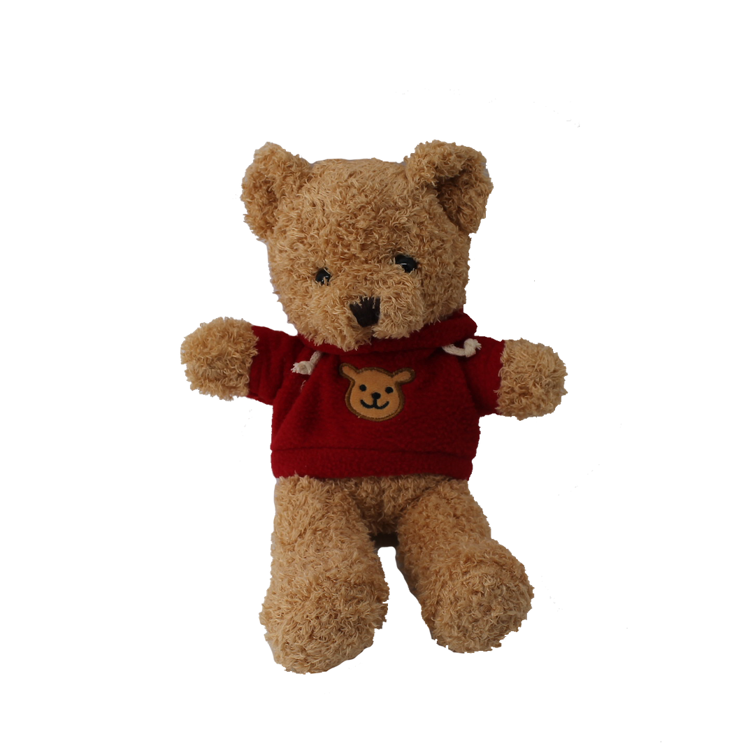 Brown Teddy Bear with Red Hoodie
