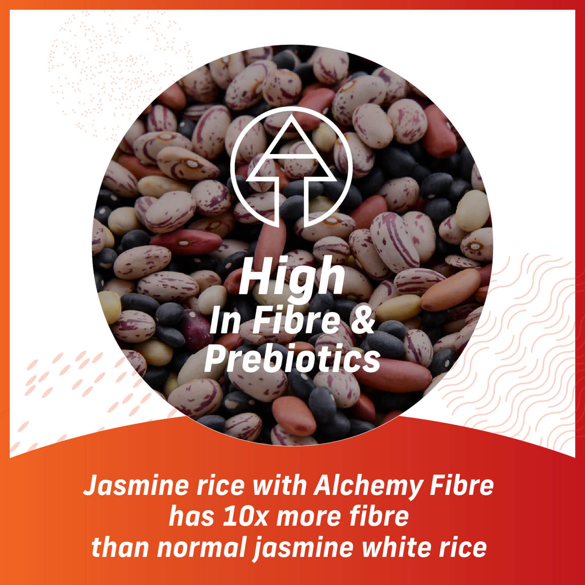 Alchemy Fibre™ For Rice [700g]