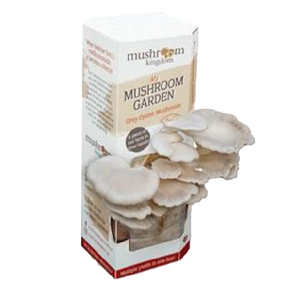Mushroom Kingdom - My Mushroom Garden Grow Kit